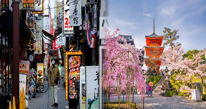 Up-to-Date Japan Entry Regulations for Tourists in 2024: Everything You Need to Know